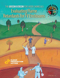 EvaluatingFlameRetardants_GreenScreenSaferChemicals_2007.jpg