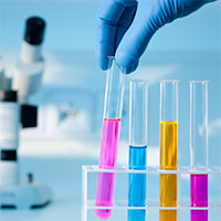  multicolored_TT_2.jpg